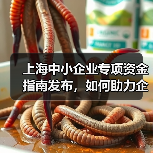 上海中小企业专项资金指南发布,如何助力企业腾飞?(图2) 上海中小企业专项资金指南发布,如何助力企业腾飞?(图2)
