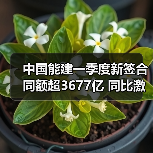 中国能建一季度新签合同额超3677亿 同比激增23.53%(图2) 中国能建一季度新签合同额超3677亿 同比激增23.53%(图2)