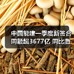 中国能建一季度新签合同额超3677亿 同比激增23.53%(图4) 中国能建一季度新签合同额超3677亿 同比激增23.53%(图4)