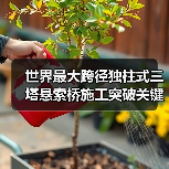 世界最大跨径独柱式三塔悬索桥施工突破关键节点(图2) 世界最大跨径独柱式三塔悬索桥施工突破关键节点(图2)