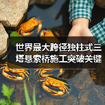 世界最大跨径独柱式三塔悬索桥施工突破关键节点(图3) 世界最大跨径独柱式三塔悬索桥施工突破关键节点(图3)
