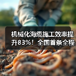 机械化海缆施工效率提升83%！全国首条全程机械化海缆敷设完成（图4）