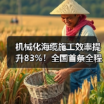 机械化海缆施工效率提升83%！全国首条全程机械化海缆敷设完成（图2）