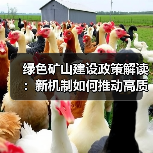 绿色矿山建设政策解读:新机制如何推动高质量发展?(图4) 绿色矿山建设政策解读:新机制如何推动高质量发展?(图4)
