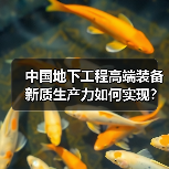 中国地下工程高端装备新质生产力如何实现?三大核心路径解析(图1) 中国地下工程高端装备新质生产力如何实现?三大核心路径解析(图1)
