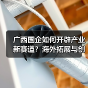 广西国企如何开辟产业新赛道?海外拓展与创新并举(图3) 广西国企如何开辟产业新赛道?海外拓展与创新并举(图3)