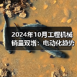 2024年10月工程机械销量双增:电动化趋势下出口遇挑战?(图1) 2024年10月工程机械销量双增:电动化趋势下出口遇挑战?(图1)