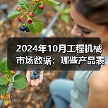 2024年10月工程机械市场数据:哪些产品表现亮眼?(图3) 2024年10月工程机械市场数据:哪些产品表现亮眼?(图3)