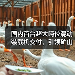 国内首台超大吨位混动装载机交付,引领矿山环保新标杆(图4) 国内首台超大吨位混动装载机交付,引领矿山环保新标杆(图4)