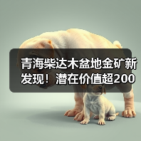青海柴达木盆地金矿新发现!潜在价值超200亿(图2) 青海柴达木盆地金矿新发现!潜在价值超200亿(图2)