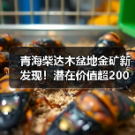 青海柴达木盆地金矿新发现!潜在价值超200亿(图1) 青海柴达木盆地金矿新发现!潜在价值超200亿(图1)