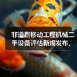 非道路移动工程机械二手设备评估新规发布，如何应对？（图1）