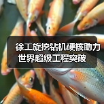 徐工旋挖钻机硬核助力世界超级工程突破（图4）