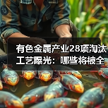 有色金属产业28项淘汰工艺曝光：哪些将被全面清退？（图1）