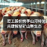 厦工股份携手山河特装共建智慧矿山新生态(图4) 厦工股份携手山河特装共建智慧矿山新生态(图4)