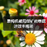 盾构机破局煤矿岩巷掘进效率瓶颈(图2) 盾构机破局煤矿岩巷掘进效率瓶颈(图2)