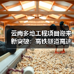 云南多地工程项目迎来新突破:高铁隧道高速公路建设齐推进(图3) 云南多地工程项目迎来新突破:高铁隧道高速公路建设齐推进(图3)