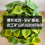 绿色高效+驻矿服务,徐工矿山机械如何突破严苛环境?(图1) 绿色高效+驻矿服务,徐工矿山机械如何突破严苛环境?(图1)
