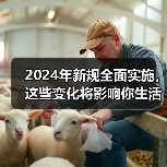 2024年新规全面实施,这些变化将影响你生活(图2) 2024年新规全面实施,这些变化将影响你生活(图2)