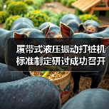 履带式液压振动打桩机标准制定研讨成功召开（图4）