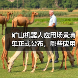 矿山机器人应用场景清单正式公布,哪些应用入选?(图3) 矿山机器人应用场景清单正式公布,哪些应用入选?(图3)