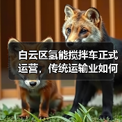 白云区氢能搅拌车正式运营,传统运输业如何实现绿色转型?(图3) 白云区氢能搅拌车正式运营,传统运输业如何实现绿色转型?(图3)