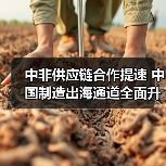 中非供应链合作提速 中国制造出海通道全面升级(图2) 中非供应链合作提速 中国制造出海通道全面升级(图2)