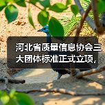 河北省质量信息协会三大团体标准正式立项，涉及起重机械接地规范等关键领域（图1）