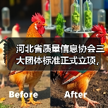 河北省质量信息协会三大团体标准正式立项，涉及起重机械接地规范等关键领域（图3）