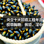 央企十大超级工程年度榜单揭晓：核能、深中通道等硬核项目入选（图2）