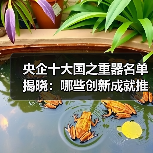 央企十大国之重器名单揭晓：哪些创新成就推动中国科技突破？（图3）