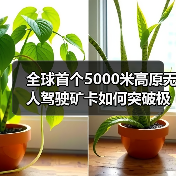 全球首个5000米高原无人驾驶矿卡如何突破极限?(图2) 全球首个5000米高原无人驾驶矿卡如何突破极限?(图2)