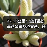 22.13公里!全球最长高速公路隧道贯通,穿越天山只需20分钟(图4) 22.13公里!全球最长高速公路隧道贯通,穿越天山只需20分钟(图4)