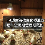 14项建筑信息化标准立项：全周期管理规范如何落地？（图2）