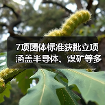 7项团体标准获批立项 涵盖半导体、煤矿等多领域(图1) 7项团体标准获批立项 涵盖半导体、煤矿等多领域(图1)