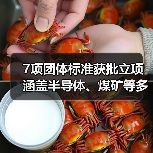 7项团体标准获批立项 涵盖半导体、煤矿等多领域(图4) 7项团体标准获批立项 涵盖半导体、煤矿等多领域(图4)