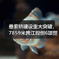 悬索桥建设重大突破，7859米跨江段创6项世界纪录（图2）