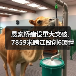 悬索桥建设重大突破，7859米跨江段创6项世界纪录（图4）