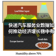 快递汽车服务业数据如何推动经济增长稳中有序?(图4) 快递汽车服务业数据如何推动经济增长稳中有序?(图4)