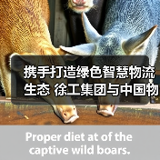 携手打造绿色智慧物流生态 徐工集团与中国物流战略合作（图1）