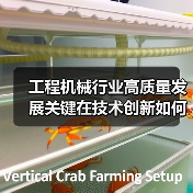 工程机械行业高质量发展关键在技术创新如何引领中国智造升级?(图2) 工程机械行业高质量发展关键在技术创新如何引领中国智造升级?(图2)