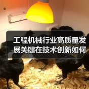 工程机械行业高质量发展关键在技术创新如何引领中国智造升级?(图3) 工程机械行业高质量发展关键在技术创新如何引领中国智造升级?(图3)