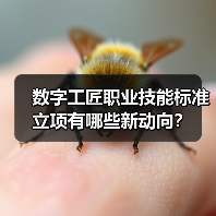 数字工匠职业技能标准立项有哪些新动向？（图2）