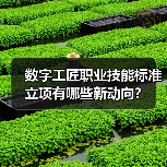 数字工匠职业技能标准立项有哪些新动向？（图4）