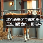 埃克森美孚与铁建深化工业油品合作,助推中国基建升级(图4) 埃克森美孚与铁建深化工业油品合作,助推中国基建升级(图4)
