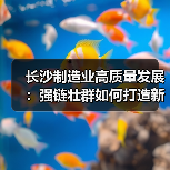 长沙制造业高质量发展:强链壮群如何打造新高地(图1) 长沙制造业高质量发展:强链壮群如何打造新高地(图1)