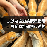 长沙制造业高质量发展:强链壮群如何打造新高地(图4) 长沙制造业高质量发展:强链壮群如何打造新高地(图4)