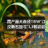 国产最大直径TBM 国产最大直径TBM