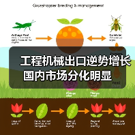 工程机械出口逆势增长 国内市场分化明显（图4）