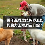 百年混凝土结构标准如何助力工程质量升级？（图2）